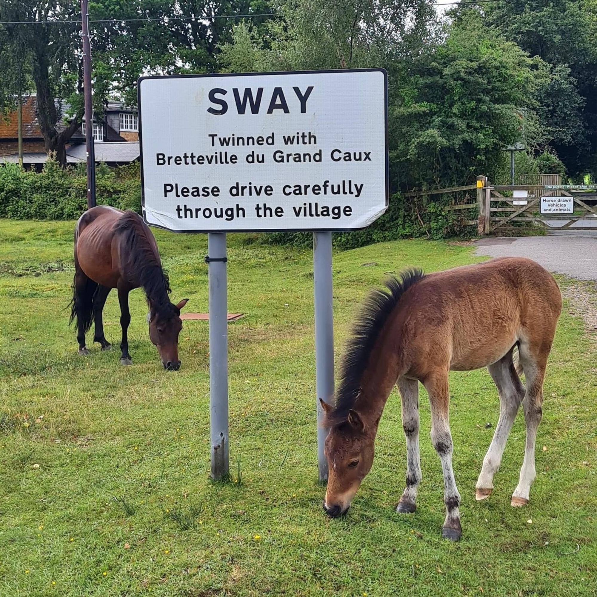 3-bed In Sway, New Forest * Sway